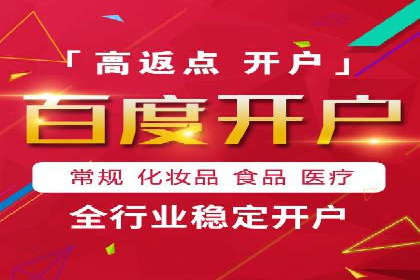SEM推广案例：揭秘高ROI背后的策略与实践