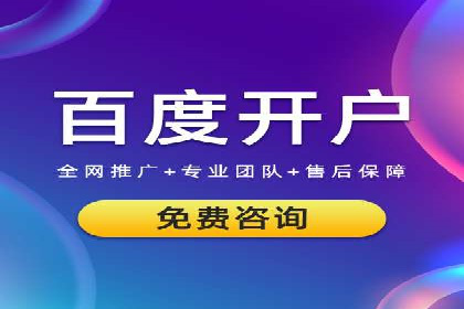 案例研究：SEM竞价托管效果对比